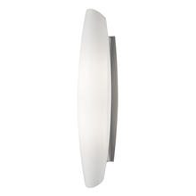  WS6122-BN - LED Wall Sconce with Catenary Shaped White Opal Glass